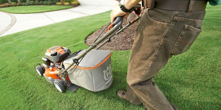 How to make your lawn look like a million dollars
