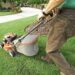 How to make your lawn look like a million dollars