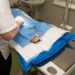 Veterinarian wait times keep getting longer