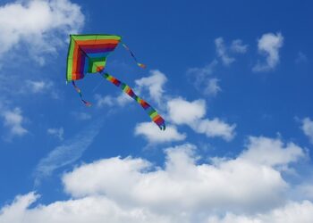 Fly kites just for fun or as a sport
