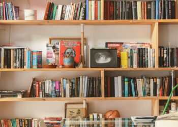 Fun ways to fall back in love with learning