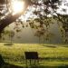 Get a little sun, seriously, it's good for you