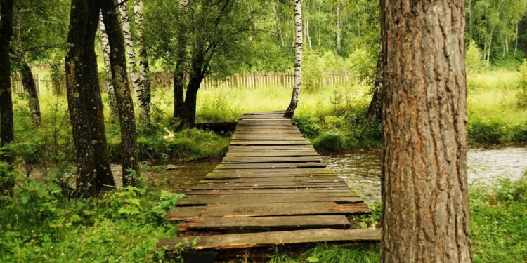Our Pathway Home - Poetic Pauses