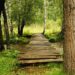 Our Pathway Home - Poetic Pauses