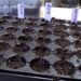 Tips to start or expand your garden and make it thrive