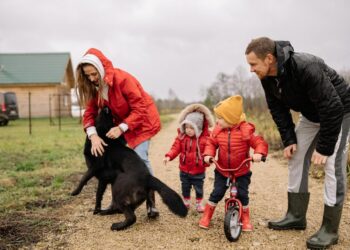 5 Things you need to know about owning a dog