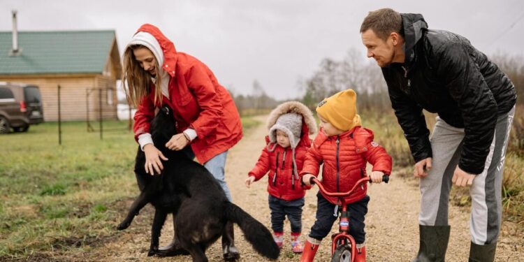 5 Things you need to know about owning a dog