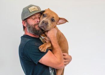 Adoption gives dogs a new 'leash' on life