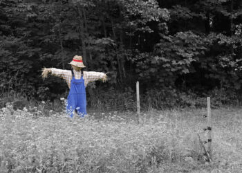Decorating for fall by building a scarecrow