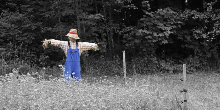 Decorating for fall by building a scarecrow