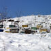 Gardeners can help pollinators in winter