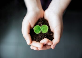 How much life exists in a small amount of soil