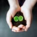 How much life exists in a small amount of soil