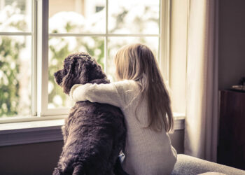 How to prepare children to welcome a new pet