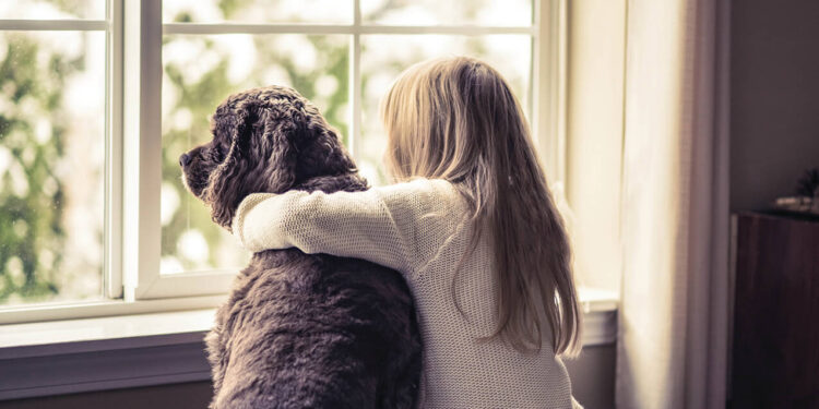 How to prepare children to welcome a new pet