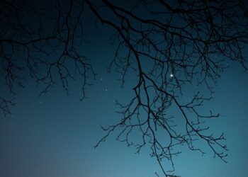 Twilight - Poetic Pauses