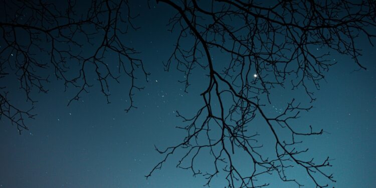 Twilight - Poetic Pauses