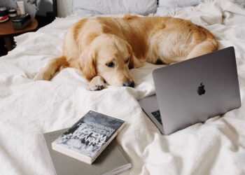 What really makes a house a home?