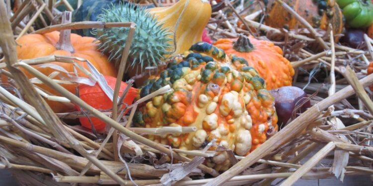 How the Pilgrims became America's forefathers