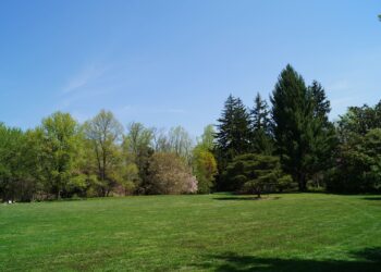 Make your large yard more manageable with this advice