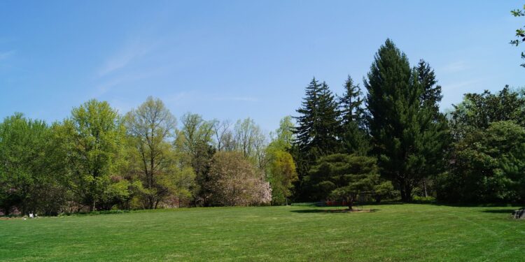 Make your large yard more manageable with this advice
