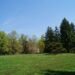 Make your large yard more manageable with this advice