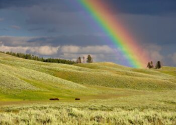 A Blanket of Love - Poetic Pauses