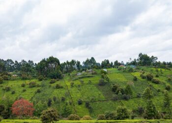 3 Tips for those in ownership of steep land