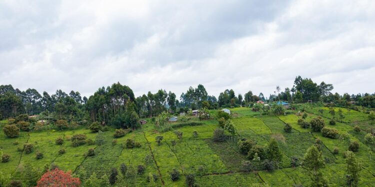 3 Tips for those in ownership of steep land