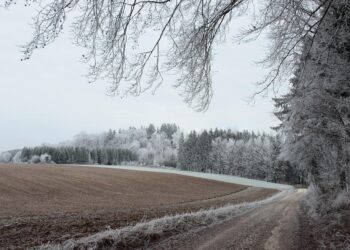 How to prepare for winter storms