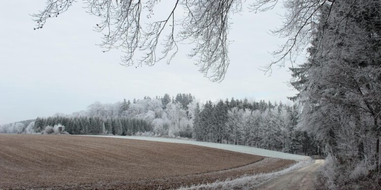 How to prepare for winter storms