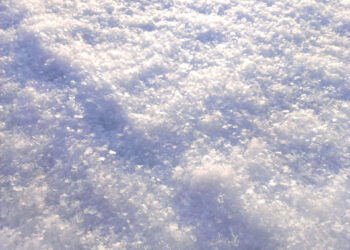 Notable events that took place in January 1922