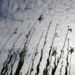 Teardrops from Heaven - Poetic Pauses