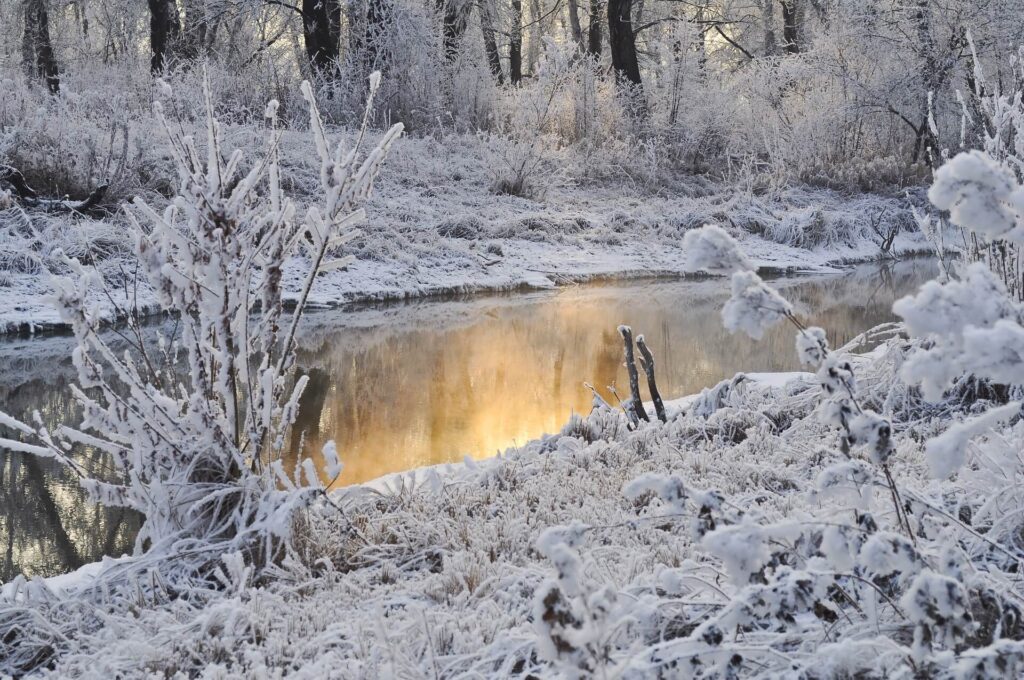 We Are Like Snowflakes - Poetic Pauses