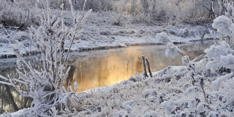 We Are Like Snowflakes - Poetic Pauses