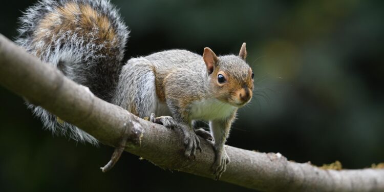 Happiness Tucked Away - Poetic Pauses