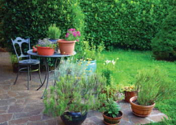 How to create more privacy on your property