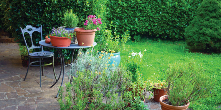 How to create more privacy on your property