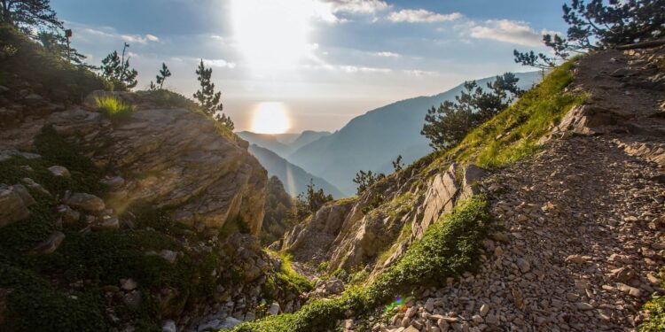 Why being outside is good for your health