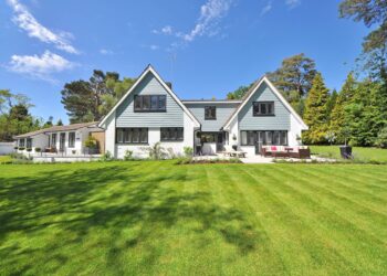 7 Areas of garden management you can outsource