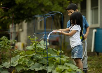 Kid-friendly gardening tasks