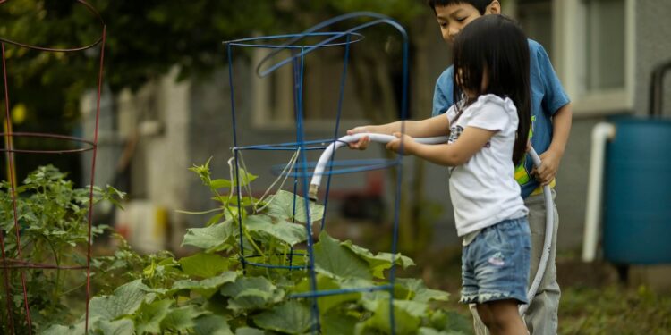 Kid-friendly gardening tasks