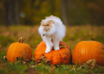 The gift you can grow