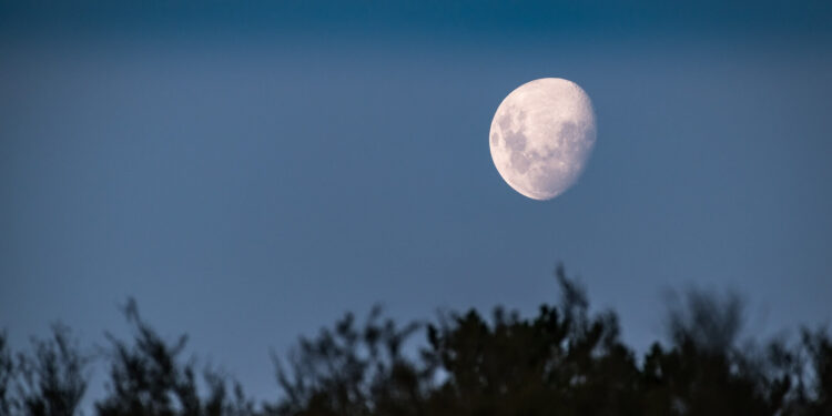 Man in the Moon - Poetic Pauses