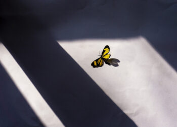 When Today Begins - Poetic Pauses