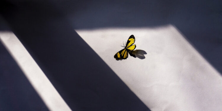 When Today Begins - Poetic Pauses