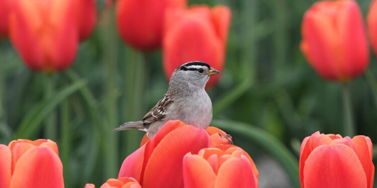 Another Day – Poetic Pauses