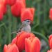 Another Day – Poetic Pauses