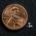 How China fuels the fentanyl pandemic