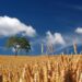 Mood Changer ~ Acrostic Poem